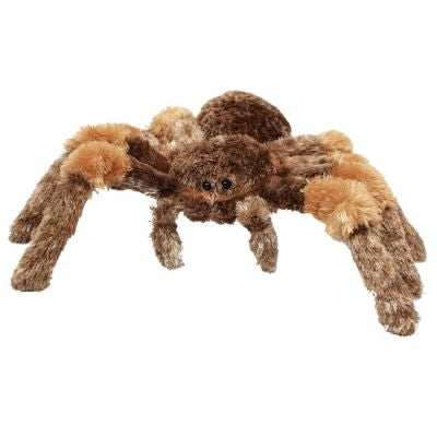 TARANTULA