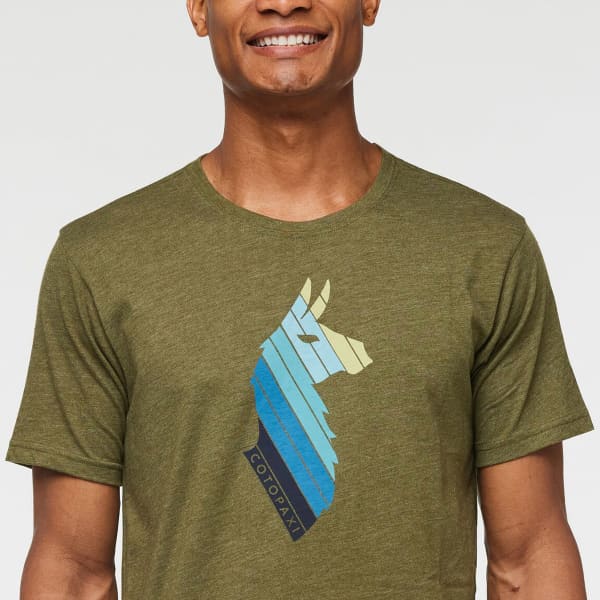 LLAMA STRIPES ORGANIC T-SHIRT - MEN'S